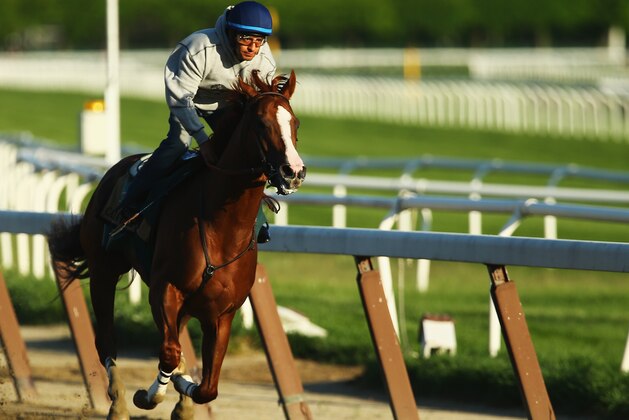 ELMONT, NY - MAY 31:  Kentucky Derby and Preakness winner California Chrome with Jockey Victor Espinoza up trains at Belmont Park on May 31, 2014 in Elmont, New York. He is scheduled to race for the Triple Crown in the 146th running of the Belmont Stakes  (Photo by Al Bello/Getty Images)