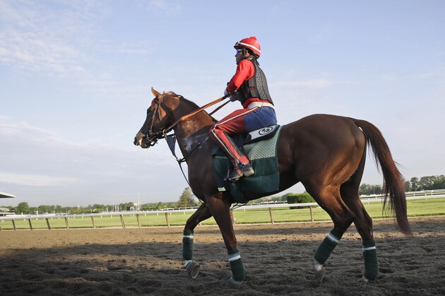 Exercise rider Willie Delgado rides California Chrome around the track at Belmont Park in Elmont, N.Y., Wednesday, May 21, 2014. California Chrome arrived in New York on Tuesday to begin preparations for his bid to become horse racing's first Triple Crown winner in 36 years. (AP Photo/Seth Wenig) Exercise rider Willie Delgado rides California Chrome around the track at Belmont Park in Elmont, N.Y., Wednesday, May 21, 2014. California Chrome arrived in New York on Tuesday to begin preparations for his bid to become horse racing's first Triple Crown winner in 36 years. (AP Photo/Seth Wenig)