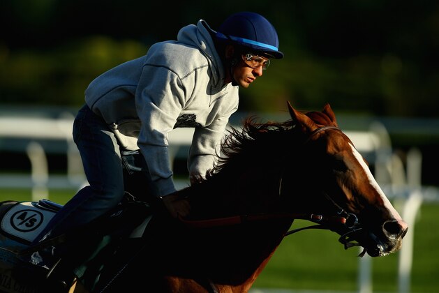 ELMONT, NY - MAY 31:  Kentucky Derby and Preakness winner California Chrome with Jockey Victor Espinoza up, trains at Belmont Park on May 31, 2014 in Elmont, New York. He is scheduled to race for the Triple Crown in the 146th running of the Belmont Stakes  (Photo by Al Bello/Getty Images)