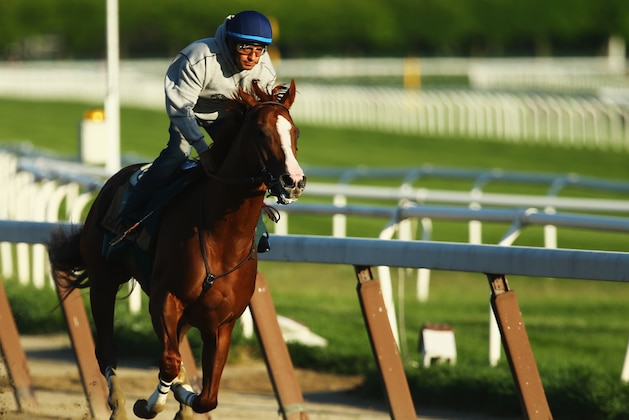 ELMONT, NY - MAY 31:  Kentucky Derby and Preakness winner California Chrome with Jockey Victor Espinoza up trains at Belmont Park on May 31, 2014 in Elmont, New York. He is scheduled to race for the Triple Crown in the 146th running of the Belmont Stakes  (Photo by Al Bello/Getty Images)