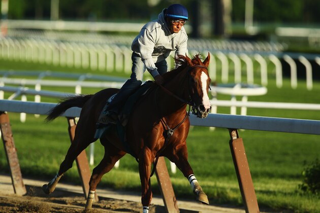 ELMONT, NY - MAY 31:  Kentucky Derby and Preakness winner California Chrome with Jockey Victor Espinoza up trains at Belmont Park on May 31, 2014 in Elmont, New York. He is scheduled to race for the Triple Crown in the 146th running of the Belmont Stakes  (Photo by Al Bello/Getty Images)