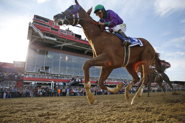 California Chrome, ridden by jockey Victor Espinoza, wins the 139th Preakness Stakes horse race at Pimlico Race Course, Saturday, May 17, 2014, in Baltimore.  (AP Photo/Matt Slocum)