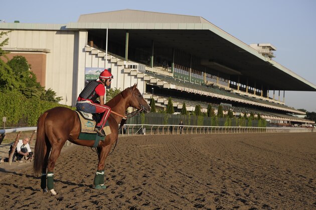 Kentucky Derby and Preakness winner California Chrome pauses as he enters the track with exercise rider Willie Delgado up at Belmont Park, Monday, June 2, 2014, in Elmont, N.Y. California Chrome will attempt to become the first Triple Crown winner since Affirmed in 1978 when he races in the 146th running of the Belmont Stakes on Saturday. (AP Photo/Julie Jacobson)