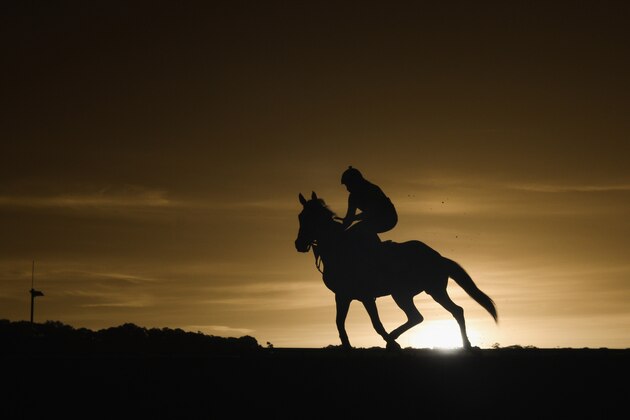 ELMONT, NY - JUNE 02:  (EDITORS NOTE: An infrared camera was used to create this image.)  A horse and exercise rider train at sunrise on the main track at Belmont Park on June 2, 2014 in Elmont, New York.  (Photo by Al Bello/Getty Images)
