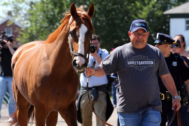 May 20, 2014; Elmont, NY, USA; California Chrome is led to the barn after arriving in advance of the Belmont Stakes at Belmont Park. Mandatory Credit: Anthony Gruppuso-USA TODAY Sports May 20, 2014; Elmont, NY, USA; California Chrome is led to the barn after arriving in advance of the Belmont Stakes at Belmont Park. Mandatory Credit: Anthony Gruppuso-USA TODAY Sports