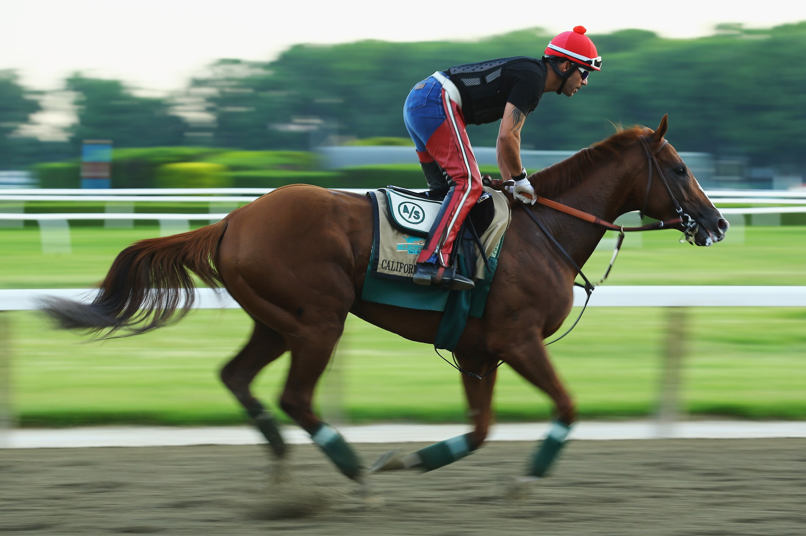 ELMONT, NY - MAY 27: Kentucky Derby and Preakness winner California Chrome, with exercise rider Willie Delgado up, trains on the main track at Belmont Park on May 27, 2014 in Elmont, New York. He is scheduled to race for the Triple Crown in the 146th running of the Belmont Stakes (Photo by Al Bello/Getty Images) ELMONT, NY - MAY 27: Kentucky Derby and Preakness winner California Chrome, with exercise rider Willie Delgado up, trains on the main track at Belmont Park on May 27, 2014 in Elmont, New York. He is scheduled to race for the Triple Crown in the 146th running of the Belmont Stakes (Photo by Al Bello/Getty Images)