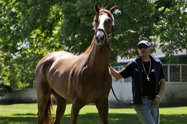 Exercise rider Willie Delgado walks Triple Crown hopeful California Chrome after they arrived at Belmont Park in Elmont, N.Y., Tuesday, May 20, 2014.  The Belmont Stakes is scheduled for June 7.  (AP Photo/Seth Wenig)