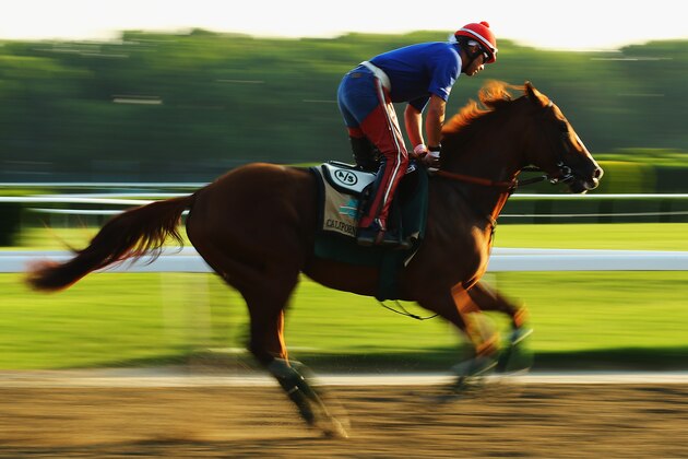 ELMONT, NY - JUNE 03:  Kentucky Derby and Preakness winner California Chrome, with exercise rider Willie Delgado up, trains on the main track at Belmont Park on June 3, 2014 in Elmont, New York. He is scheduled to race for the Triple Crown in the 146th running of the Belmont Stakes  (Photo by Al Bello/Getty Images)