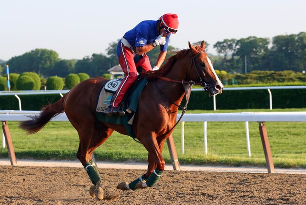 Jun 3, 2014; Elmont, NY, USA; California Chrome ridden by exercise rider Willie Delgado on the track during workouts in preparation for the 2014 Belmont Stakes at Belmont Park. Mandatory Credit: Anthony Gruppuso-USA TODAY Sports
