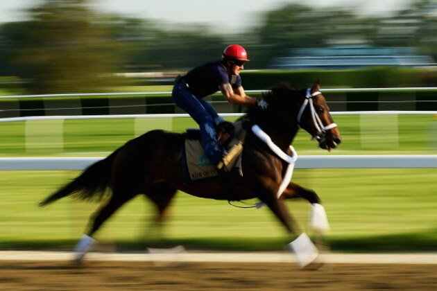 ELMONT, NY - JUNE 03:  Ride On Curlin with exercise rider Bryan Baccia up, trains on the main track at Belmont Park on June 3, 2014 in Elmont, New York. He is scheduled to race  in the 146th running of the Belmont Stakes  (Photo by Al Bello/Getty Images)
