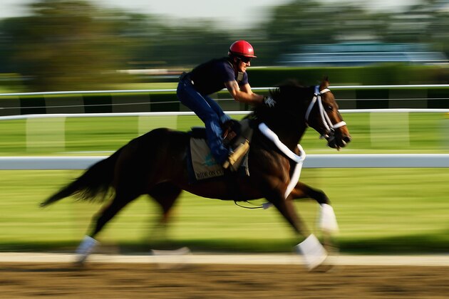 ELMONT, NY - JUNE 03: Ride On Curlin with exercise rider Bryan Baccia up, trains on the main track at Belmont Park on June 3, 2014 in Elmont, New York. He is scheduled to race in the 146th running of the Belmont Stakes (Photo by Al Bello/Getty Images) ELMONT, NY - JUNE 03: Ride On Curlin with exercise rider Bryan Baccia up, trains on the main track at Belmont Park on June 3, 2014 in Elmont, New York. He is scheduled to race in the 146th running of the Belmont Stakes (Photo by Al Bello/Getty Images)