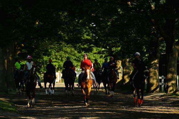 ELMONT, NY - JUNE 03:  A general view of horses and exercise riders heading to the main track for training at Belmont Park on June 3, 2014 in Elmont, New York.  (Photo by Al Bello/Getty Images)