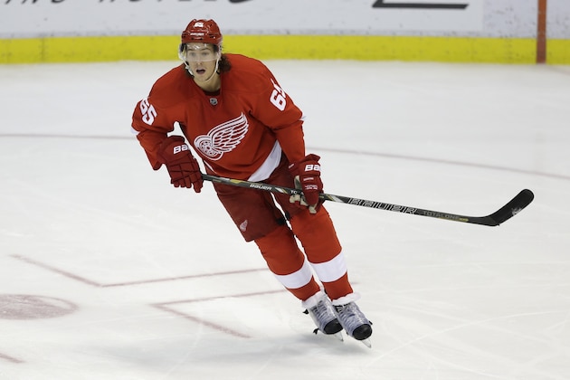 Detroit Red Wings defenseman Danny DeKeyser (65) is seen during the third period of an NHL hockey game against the Tampa Bay Lightning in Detroit, Saturday, Nov. 9, 2013. (AP Photo/Carlos Osorio)