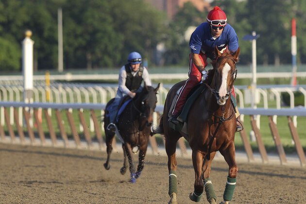 California Chrome gallops around the track with exercise rider Willie Delgado up at Belmont Park, Tuesday, June 3, 2014, in Elmont, N.Y. The Kentucky Derby and Preakness Stakes winner will attempt to become the first Triple Crown winner since Affirmed in 1978 when he races in the146th running of the Belmont Stakes on Saturday.  (AP Photo/Peter Morgan)