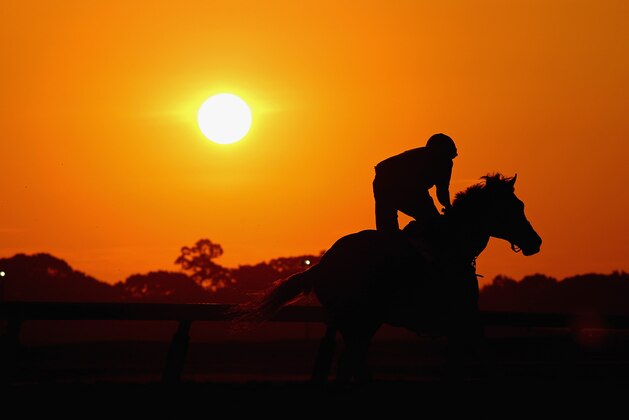 ELMONT, NY - JUNE 03:  A general view of a horse and exercise rider training at sunrise on the main track for training at Belmont Park on June 3, 2014 in Elmont, New York.  (Photo by Al Bello/Getty Images)