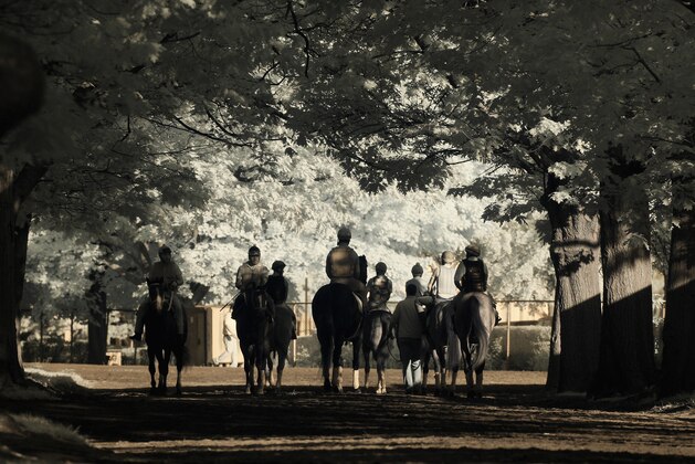 ELMONT, NY - JUNE 03:  (EDITORS NOTE: An infrared camera was used to create this image.)  A general view of horses and exercise riders heading to the main track for training at Belmont Park on June 3, 2014 in Elmont, New York.  (Photo by Al Bello/Getty Images)