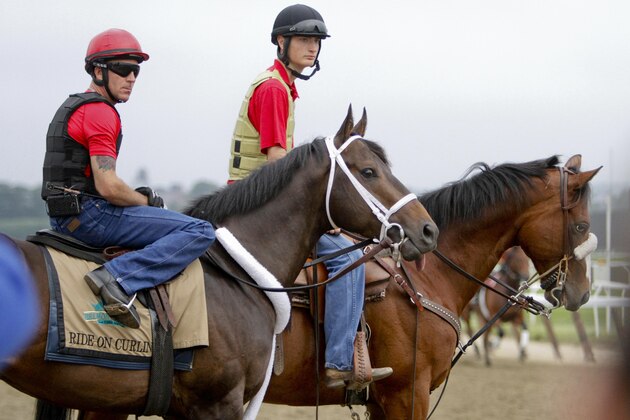 Belmont Stakes hopeful Ride On Curlin, left, pauses before beginning a workout at Belmont Park, Wednesday, June 4, 2014, in Elmont, N.Y. Ride On Curlin will be one of several challengers looking to spoil California Chrome's bid at a Triple Crown when they race in the 146th running of the Belmont Stakes horse race on Saturday. (AP Photo/Garry Jones)