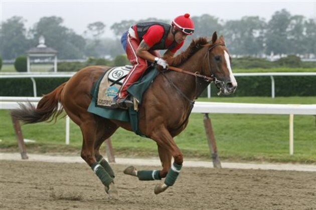Exercise rider Willie Delgado gallops California Chrome on a second lap during a workout at Belmont Park, Wednesday, June 4, 2014, in Elmont, N.Y. The Kentucky Derby and Preakness Stakes winner will attempt to become the first Triple Crown winner since Affirmed in 1978 when he races in the 146th running of the Belmont Stakes horse race on Saturday. (AP Photo/Peter Morgan)