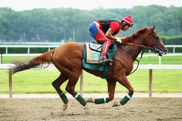 ELMONT, NY - JUNE 04:  Kentucky Derby and Preakness winner California Chrome, with exercise rider Willie Delgado up, trains on the main track at Belmont Park on June 4, 2014  in Elmont,  New York   He is scheduled to race for the Triple Crown in the 146th running of the Belmont Stakes  (Photo by Al Bello/Getty Images)