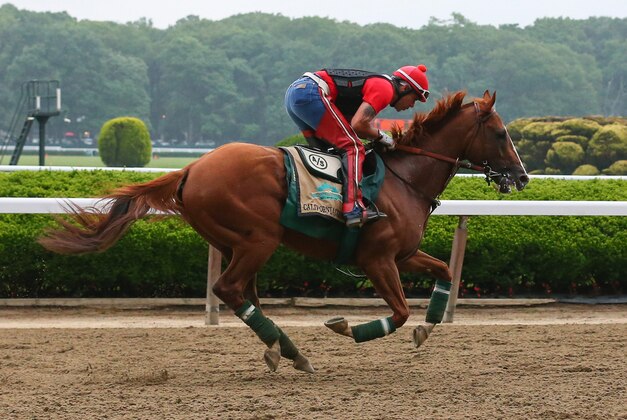 Jun 4, 2014; Elmont, NY, USA; California Chrome ridden by exercise rider Willie Delgado on the track during workouts in preparation for the 2014 Belmont Stakes at Belmont Park. Mandatory Credit: Anthony Gruppuso-USA TODAY Sports