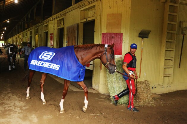 ELMONT, NY - JUNE 04: Kentucky Derby and Preakness winner California Chrome, with exercise rider Willie Delgado walks in his barnafter training on the main track at Belmont Park on June 4, 2014 in Elmont, New York He is scheduled to race for the Triple Crown in the 146th running of the Belmont Stakes (Photo by Al Bello/Getty Images) ELMONT, NY - JUNE 04: Kentucky Derby and Preakness winner California Chrome, with exercise rider Willie Delgado walks in his barnafter training on the main track at Belmont Park on June 4, 2014 in Elmont, New York He is scheduled to race for the Triple Crown in the 146th running of the Belmont Stakes (Photo by Al Bello/Getty Images)