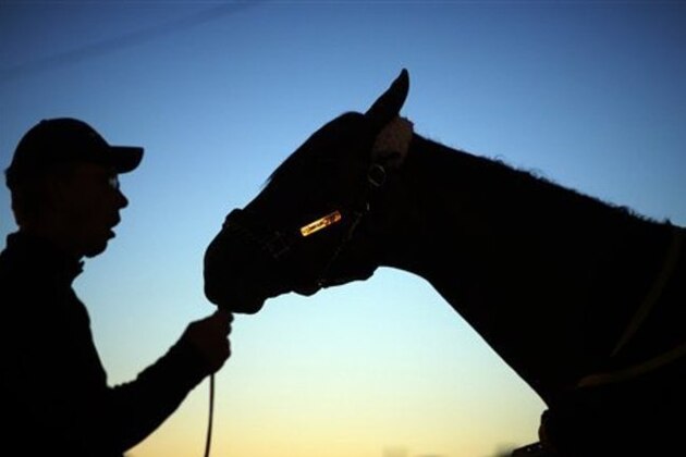 Dan Queenan holds Kentucky Derby entrant Commanding Curve after a morning workout at Churchill Downs Friday, May 2, 2014, in Louisville, Ky. (AP Photo/David Goldman)