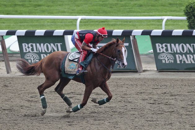 Exercise rider Willie Delgado gallops California Chrome around the track at Belmont Park, Wednesday, June 4, 2014, in Elmont, N.Y. The Kentucky Derby and Preakness Stakes winner will attempt to become the first Triple Crown winner since Affirmed in 1978 when he races in the 146th running of the Belmont Stakes on Saturday.(AP Photo/Peter Morgan)