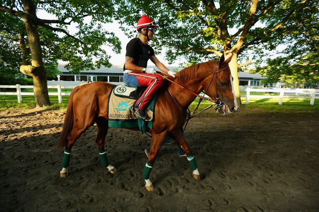 ELMONT, NY - MAY 30:  Kentucky Derby and Preakness winner California Chrome with exercise rider Willie Delgado up, heads to the main track for morning training at Belmont Park on May 30, 2014 in Elmont, New York. He is scheduled to race for the Triple Crown in the 146th running of the Belmont Stakes  (Photo by Al Bello/Getty Images)