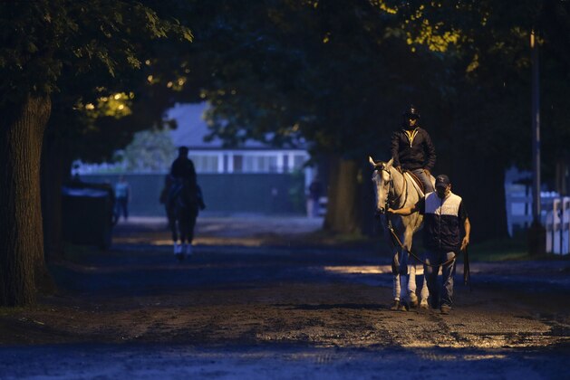 Exercise riders and trainers lead thoroughbreds down a horse path to the track for a workout at Belmont Park, Thursday, June 5, 2014, in Elmont, N.Y. Kentucky Derby and Preakness Stakes winner California Chrome will attempt to become the first Triple Crown winner since Affirmed in 1978 when he races in the146th running of the Belmont Stakes horse race on Saturday. (AP Photo/Julie Jacobson)