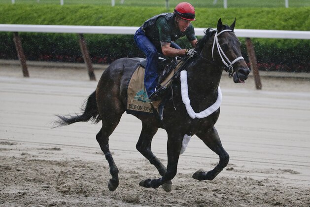Belmont Stakes hopeful Ride On Curlin gallops down the front stretch with exercise rider Bryan Beccia up during a workout at Belmont Park, Thursday, June 5, 2014, in Elmont, N.Y. The runner up in the Preakness Stakes will be one of ten challengers looking to spoil California Chrome's bid at a Triple Crown when they race in the 146th running of the Belmont Stakes horse race on Saturday.(AP Photo/Julie Jacobson)