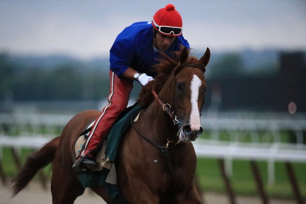 ELMONT, NY - JUNE 05:  Kentucky Derby and Preakness winner California Chrome, with exercise rider Willie Delgado up, trains on the track for the 146th running of the Belmont Stakes at Belmont Park on June 5, 2014 in Elmont, New York.  (Photo by Rob Carr/Getty Images)