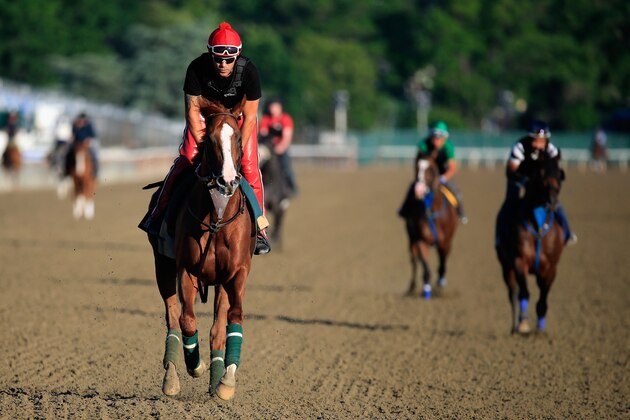 ELMONT, NY - JUNE 06:  Kentucky Derby and Preakness winner California Chrome, with exercise rider Willie Delgado up, goes over the track in preparation for the 146th running of the Belmont Stakes at Belmont Park on June 6, 2014 in Elmont, New York.  (Photo by Rob Carr/Getty Images)
