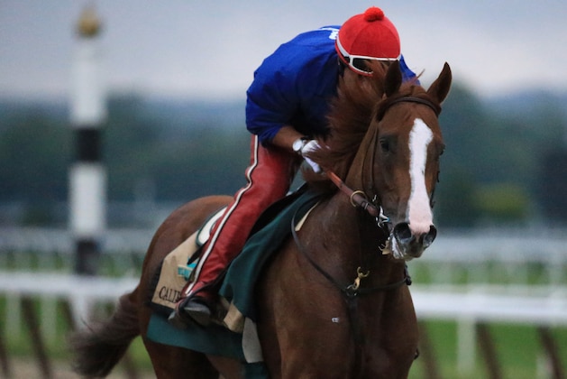 ELMONT, NY - JUNE 05:  Kentucky Derby and Preakness winner California Chrome, with exercise rider Willie Delgado up, trains on the track for the 146th running of the Belmont Stakes at Belmont Park on June 5, 2014 in Elmont, New York.  (Photo by Rob Carr/Getty Images)