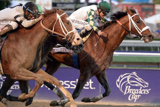 Nov 2, 2013; Arcadia, CA, USA; Gary Stevens aboard Mucho Macho Man sprints ahead of Luis Saez aboard Will Take Charge to the finish during twelve of the 2013 Breeders' Cup Championships at Santa Anita Park. Mandatory Credit: Richard Mackson-USA TODAY Sports