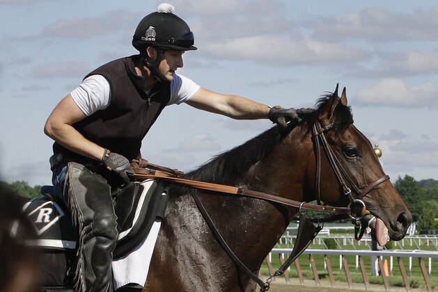 Exercise rider Chris Davis strokes Belmont Stakes entrant Medal Count's mane before a workout at Belmont Park, Friday, June 6, 2014, in Elmont, N.Y. Medal Count will be one of ten challengers looking to spoil California Chrome's bid at a Triple Crown when they race in the 146th running of the Belmont Stakes horse race on Saturday. (AP Photo/Garry Jones)