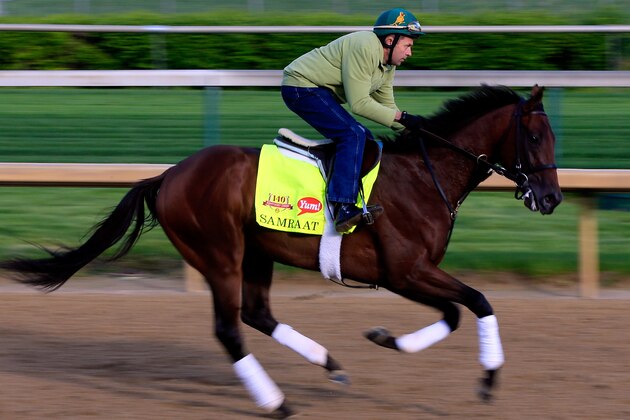 LOUISVILLE, KY - MAY 01:  Kentucky Derby contender Samraat in action on the track during early morning workouts at Churchill Downs on May 1, 2014 in Louisville, Kentucky.  (Photo by Jamie Squire/Getty Images)