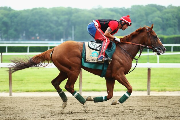 ELMONT, NY - JUNE 04:  Kentucky Derby and Preakness winner California Chrome, with exercise rider Willie Delgado up, trains on the main track at Belmont Park on June 4, 2014  in Elmont,  New York   He is scheduled to race for the Triple Crown in the 146th running of the Belmont Stakes  (Photo by Al Bello/Getty Images)