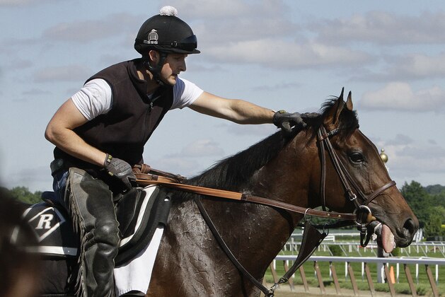Exercise rider Chris Davis strokes Belmont Stakes entrant Medal Count's mane before a workout at Belmont Park, Friday, June 6, 2014, in Elmont, N.Y. Medal Count will be one of ten challengers looking to spoil California Chrome's bid at a Triple Crown when they race in the 146th running of the Belmont Stakes horse race on Saturday. (AP Photo/Garry Jones)