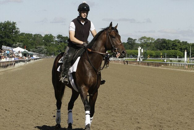 Medal Count jogs around the track with exercise rider Chris Davis up during a workout at Belmont Park, Friday, June 6, 2014, in Elmont, N.Y. Medal Count will be one of ten challengers looking to spoil California Chrome's bid at a Triple Crown when they race in the 146th running of the Belmont Stakes horse race on Saturday. (AP Photo/Garry Jones)