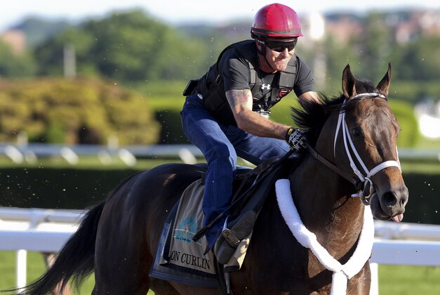 Belmont Stakes entrant Ride On Curlin gallops down the front stretch with exercise rider Bryan Beccia up during a workout at Belmont Park, Friday, June 6, 2014, in Elmont, N.Y. The runner up in the Preakness Stakes will be one of ten challengers looking to spoil California Chrome's bid at a Triple Crown when they race in the 146th running of the Belmont Stakes horse race on Saturday.(AP Photo/Peter Morgan)
