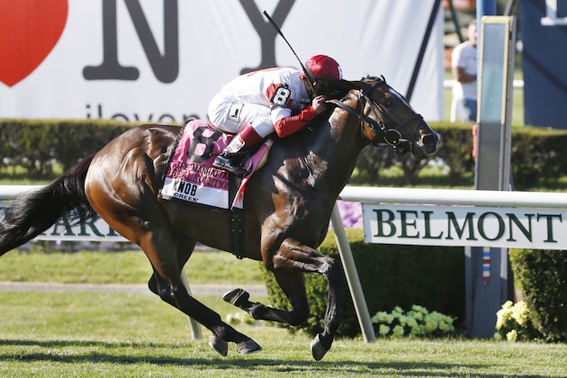 Real Solution with Javier Castellano up crosses the finish line to win the 113th running of the Manhattan horse race at Belmont Park, Saturday, June 7, 2014, in Elmont, N.Y. (AP Photo/Matt Slocum)