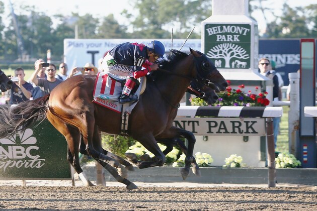 ELMONT, NY - JUNE 07:  Tonalist #11, ridden by Joel Rosario, races to the finish line enroute to winning the 146th running of the Belmont Stakes at Belmont Park on June 7, 2014 in Elmont, New York.  (Photo by Travis Lindquist/Getty Images)