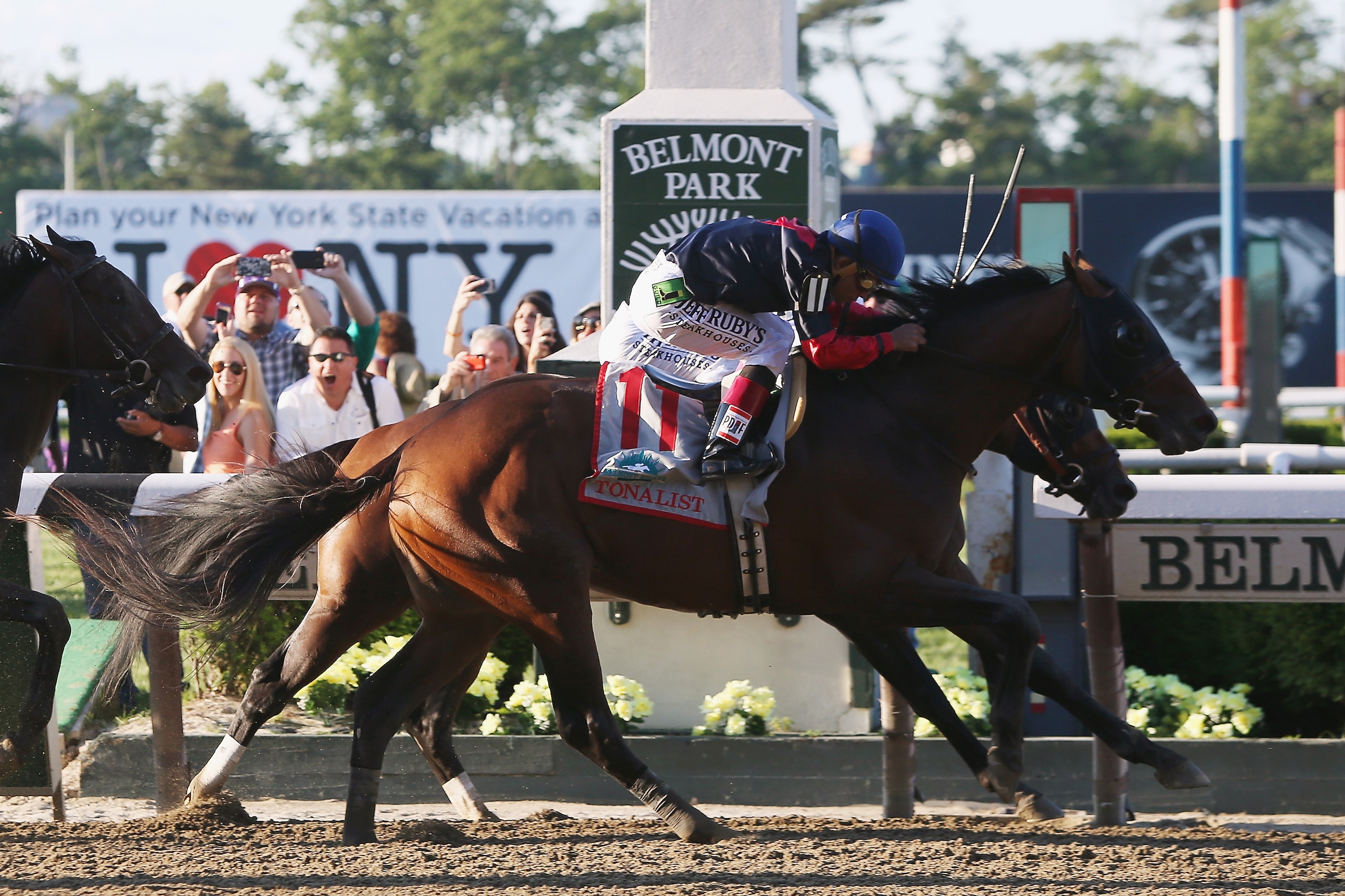 ELMONT, NY - JUNE 07:  Tonalist #11, ridden by Joel Rosario, races to the finish line enroute to winning the 146th running of the Belmont Stakes at Belmont Park on June 7, 2014 in Elmont, New York.  (Photo by Travis Lindquist/Getty Images)