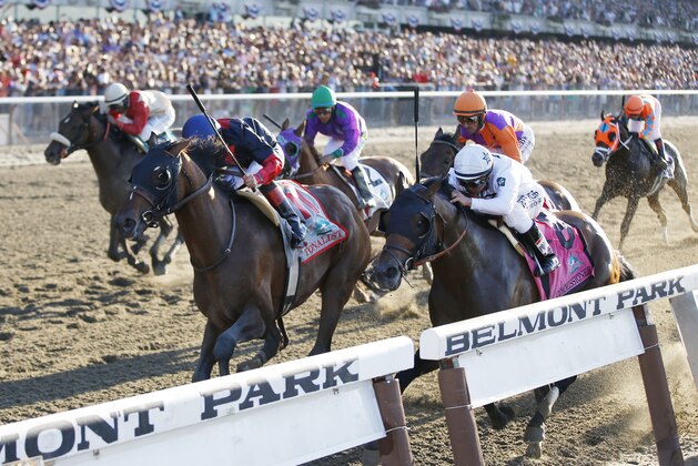 Tonalist (11) with Joel Rosario up edges out Commissioner (8) with Javier Castellano up to win the 146th running of the Belmont Stakes horse race, Saturday, June 7, 2014, in Elmont, N.Y. (AP Photo/Matt Slocum)