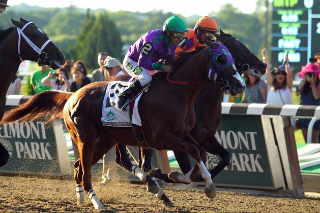 Jun 7, 2014; Elmont, NY, USA; Victor Espinoza aboard California Chrome (2) rides along side Robby Albarado aboard Medal Count (1) down the front stretch during the 2014 Belmont Stakes at Belmont Park. Mandatory Credit: Brad Penner-USA TODAY Sports