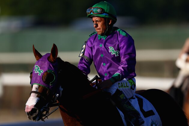ELMONT, NY - JUNE 07:  California Chrome #2, ridden by Victor Espinoza, walks down the track after losing the 146th running of the Belmont Stakes at Belmont Park on June 7, 2014 in Elmont, New York.  (Photo by Streeter Lecka/Getty Images)