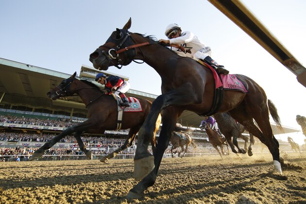 Tonalist (11), with Joel Rosario up, crosses the finish line ahead of Commissioner (8), with Javier Castellano up, to win the Belmont Stakes horse race, Saturday, June 7, 2014, in Elmont, N.Y. (AP Photo/Matt Slocum)