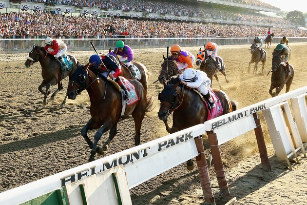 ELMONT, NY - JUNE 07:  Tonalist #11, ridden by Joel Rosario, races to the finish line enroute to winning the 146th running of the Belmont Stakes at Belmont Park on June 7, 2014 in Elmont, New York.  (Photo by Al Bello/Getty Images)