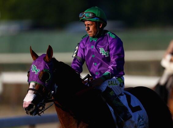 ELMONT, NY - JUNE 07:  California Chrome #2, ridden by Victor Espinoza, walks down the track after losing the 146th running of the Belmont Stakes at Belmont Park on June 7, 2014 in Elmont, New York.  (Photo by Streeter Lecka/Getty Images)