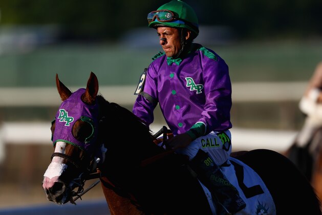 ELMONT, NY - JUNE 07:  California Chrome #2, ridden by Victor Espinoza, walks down the track after losing the 146th running of the Belmont Stakes at Belmont Park on June 7, 2014 in Elmont, New York.  (Photo by Streeter Lecka/Getty Images)